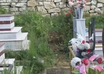 Mister në Lushnjë/ Persona të paidentifikuar vjedhin eshtrat e gruas që ndërroi jetë 17 vite më parë