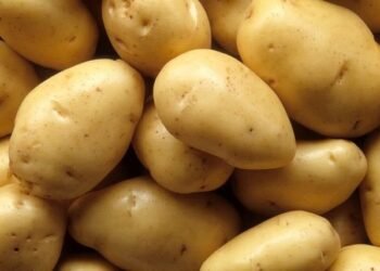 Lamtumirë “patate e Kukësit”! Patatja gjermane “pushton” tregun, çmimet bien me 22%, fermerët në presion