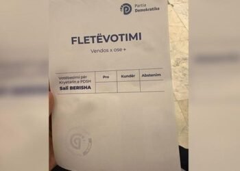 FOTOLAJM/ Demokratët në REFERENDUM, emri i vetëm i Sali Berishës!
