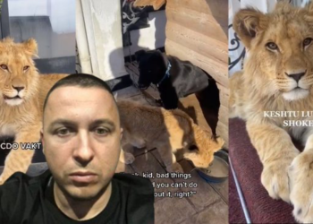 Nga hipopotamët e Escobar te luanët e Ervis Martinajt, si bosat e krimit i kthyen vilat në “kopshte zoologjike”