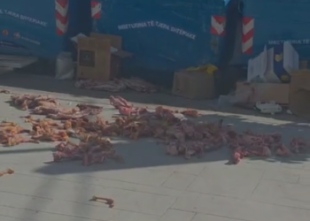 Mbetje kafshësh dhe kocka të hedhura në trotuar në Tiranë, alarm për shëndetin publik (VIDEO)