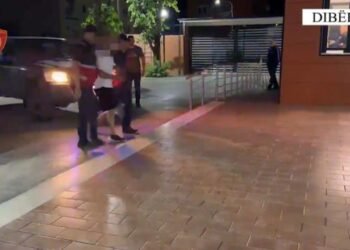 14 masa sigurie/ Zyrtarët e Kadastrës Dibër dhe një notere tjetërsuan pronat, në kërkim zv.drejtori