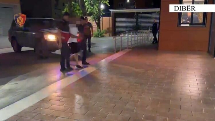 14 masa sigurie/ Zyrtarët e Kadastrës Dibër dhe një notere tjetërsuan pronat, në kërkim zv.drejtori