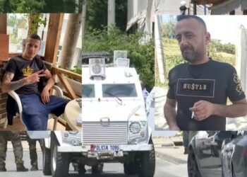 Vrasja në Paskuqan, Sadik Llani rezulton me precedentë penal. Ishte i dënuar për drogë dhe vjedhje