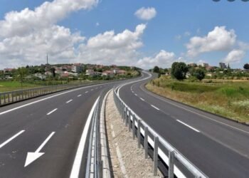 Protestat për Zvërnecin, gazetari tregon kur Olldashi shkoi në Bruksel për autostradën Fier-Vlorë dhe BE refuzoi të firmoste për shkak të… pelikanit kaçurrel të Nartës
