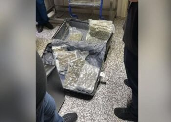 Sekuestrohen 46 kg kanabis në Rinas pas kontrollit të fluturimit Toronto-Tiranë, dy persona nën hetim