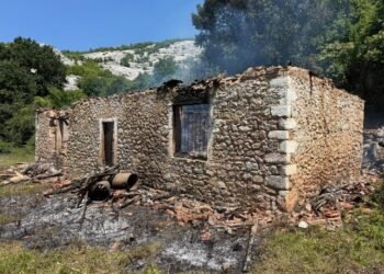 Tragjedi në Shkodër/ Policia konfirmon vdekjen e nënës dhe dy fëmijëve nga zjarri që përfshiu banesën
