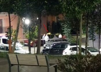 Policia zbardh ngjarjen në Laç: Pse dhe kush e vrau Ilir Gjinin