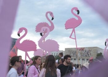 Arti që po frymëzon Revolucionin e Flamingove