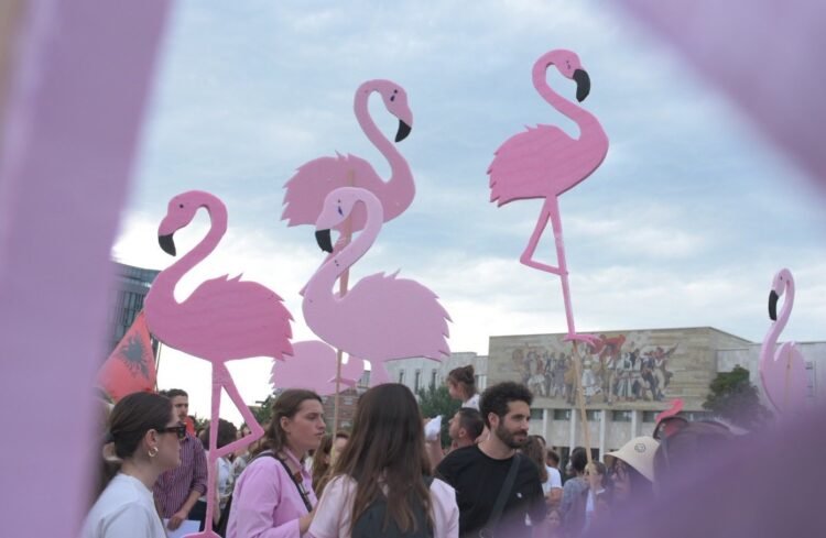 Arti që po frymëzon Revolucionin e Flamingove