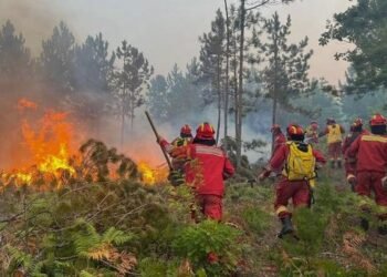 Fundjava me rrezik të lartë zjarresh në 8 qarqe paralajmëron Instituti i Gjeoshkencave, temperaturat deri në 39°C