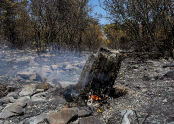 “Po pija duhan dhe…” – Si po “humbasin” në gjykata dosjet e zjarrvënieve
