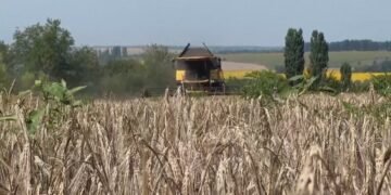 Ekonomia e luftës që prek xhepin/ Rritet çmimi i grurit pas sulmeve, Hormuzi shtrenjton karburantin