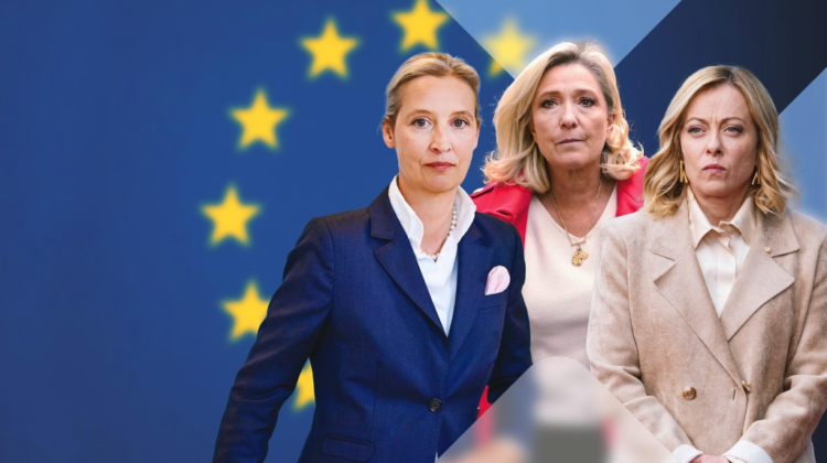 Partia gjermane AfD është aq ekstreme, saqë edhe partitë e tjera të së djathtës ekstreme në Europë po distancohen