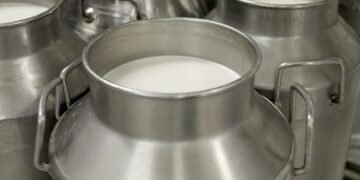Pse qumështi serb po hyn gjithnjë e më shumë në tregun shqiptar